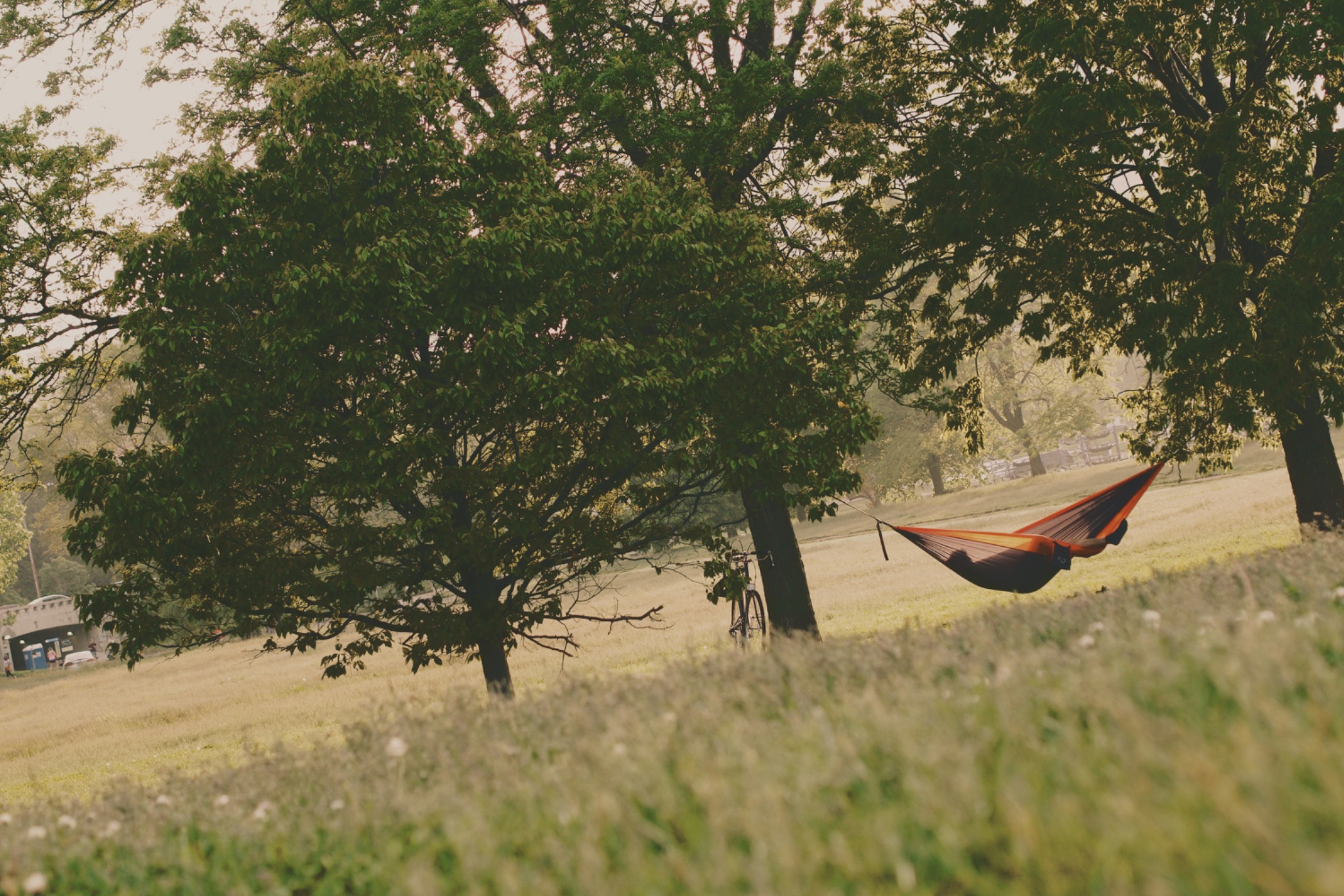 Hammock beneath trees in a quiet park